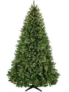 7.5 or 9 Feet Tall Douglas Fir Lighted Artificial Christmas Tree