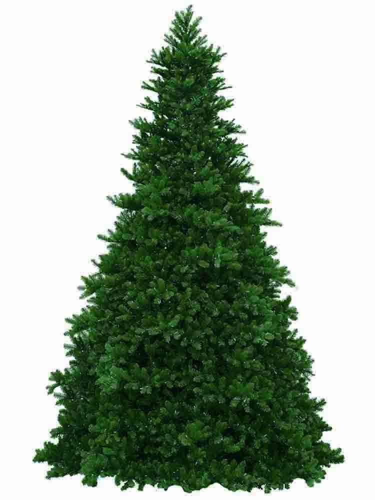 80 ft christmas tree Clearance